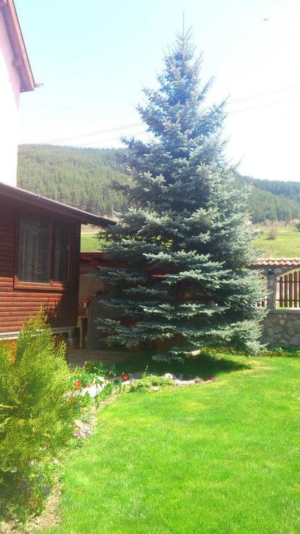 Guest House Diva Reka Beli Iskar Esterno foto